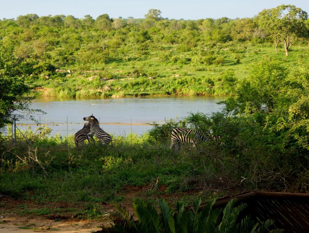 Tau @ Kruger Villa Marloth Park Rom bilde