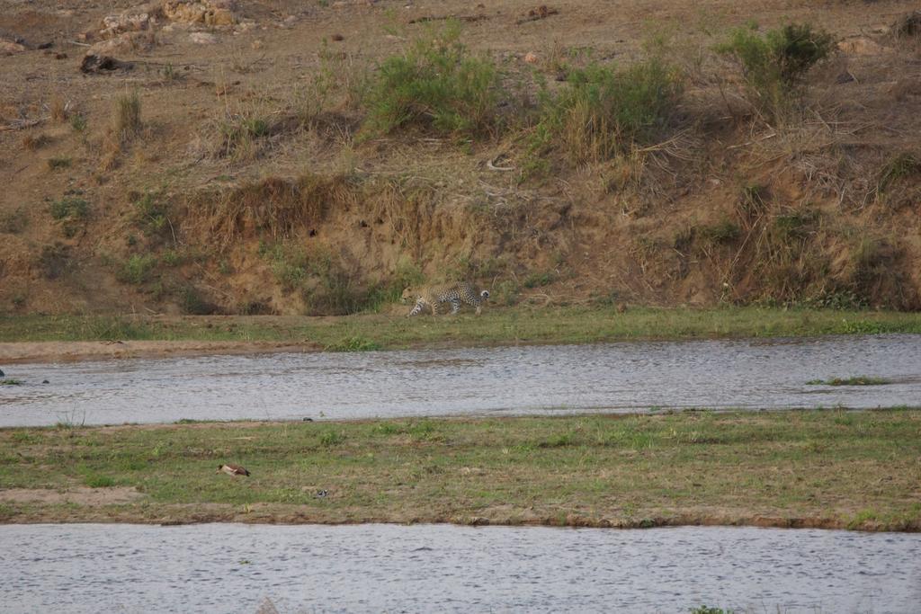 Tau @ Kruger Villa Marloth Park Eksteriør bilde