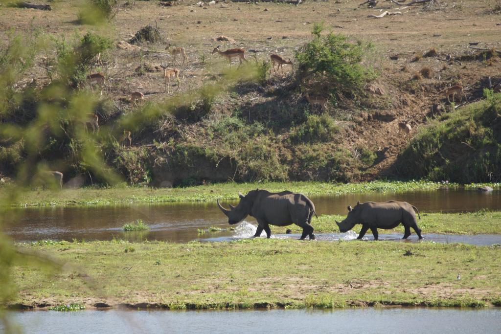 Tau @ Kruger Villa Marloth Park Eksteriør bilde